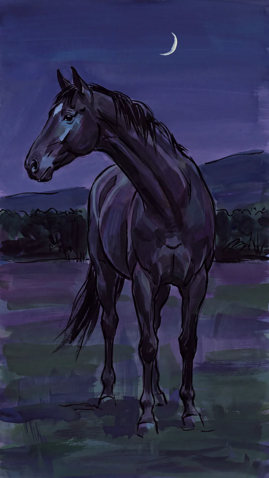 The Night Horse