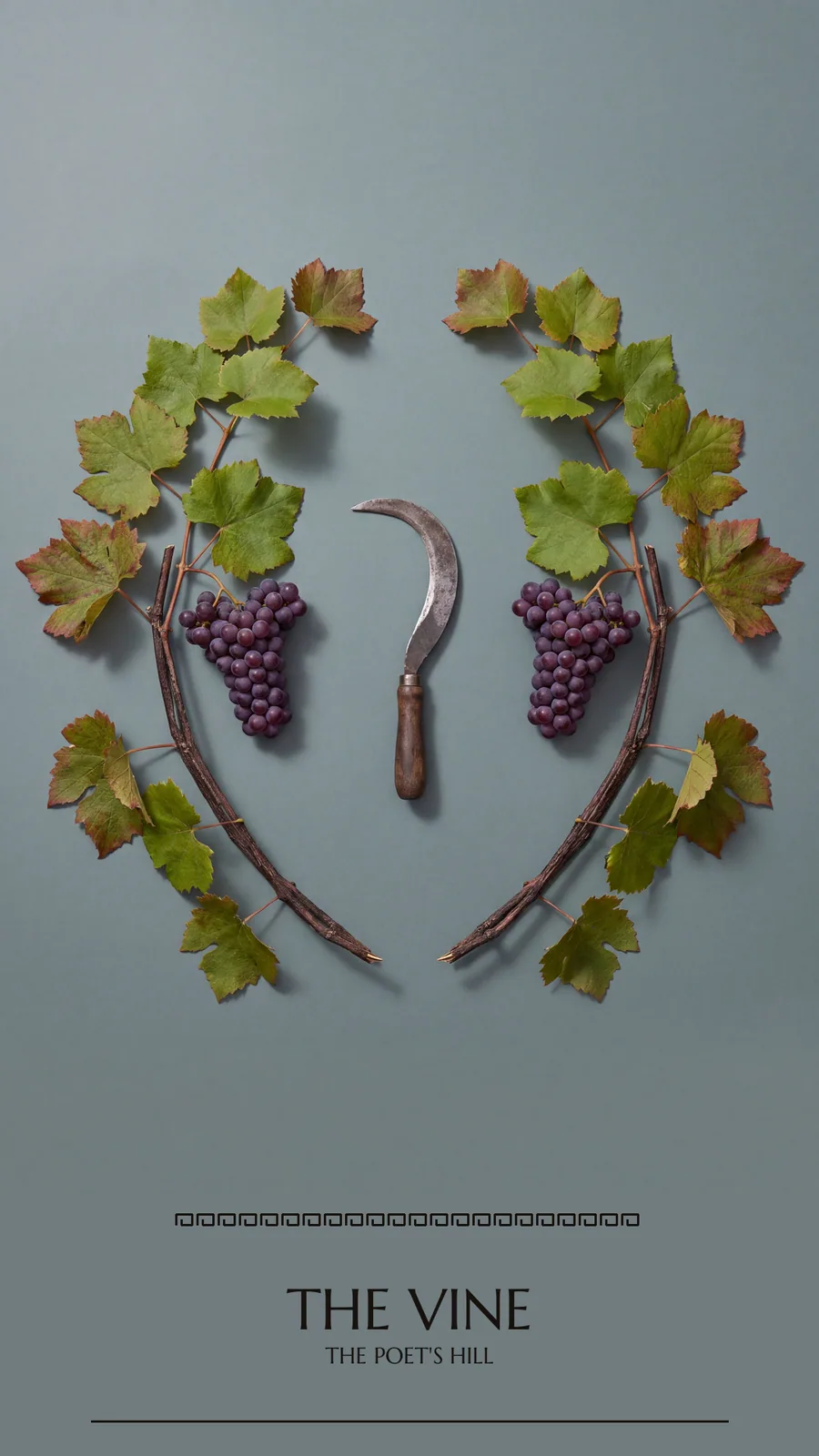 The Vine