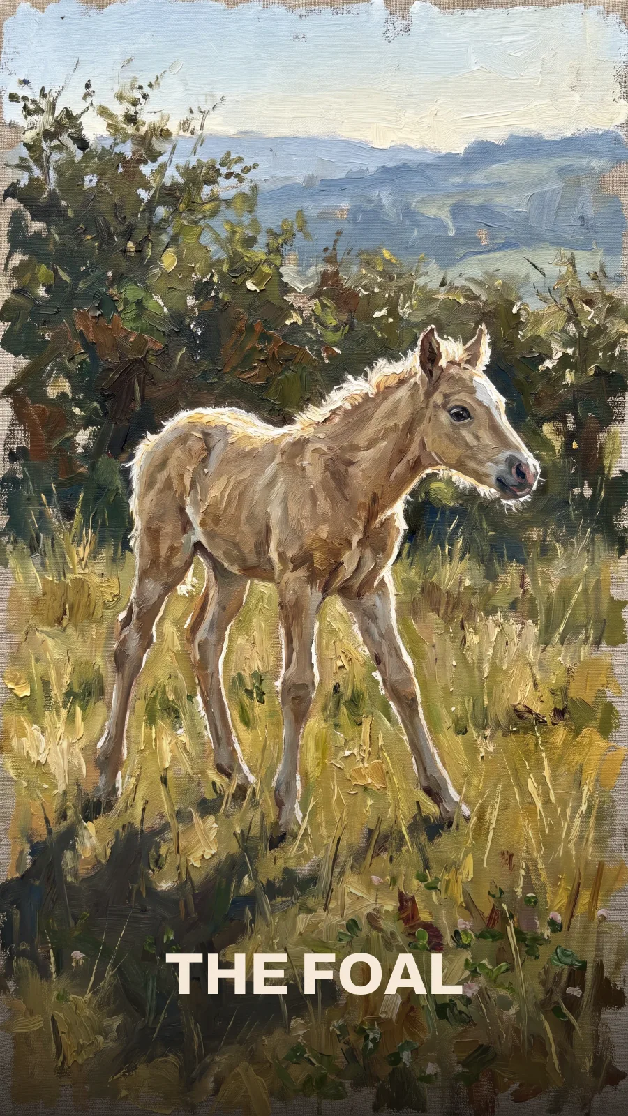 The Foal
