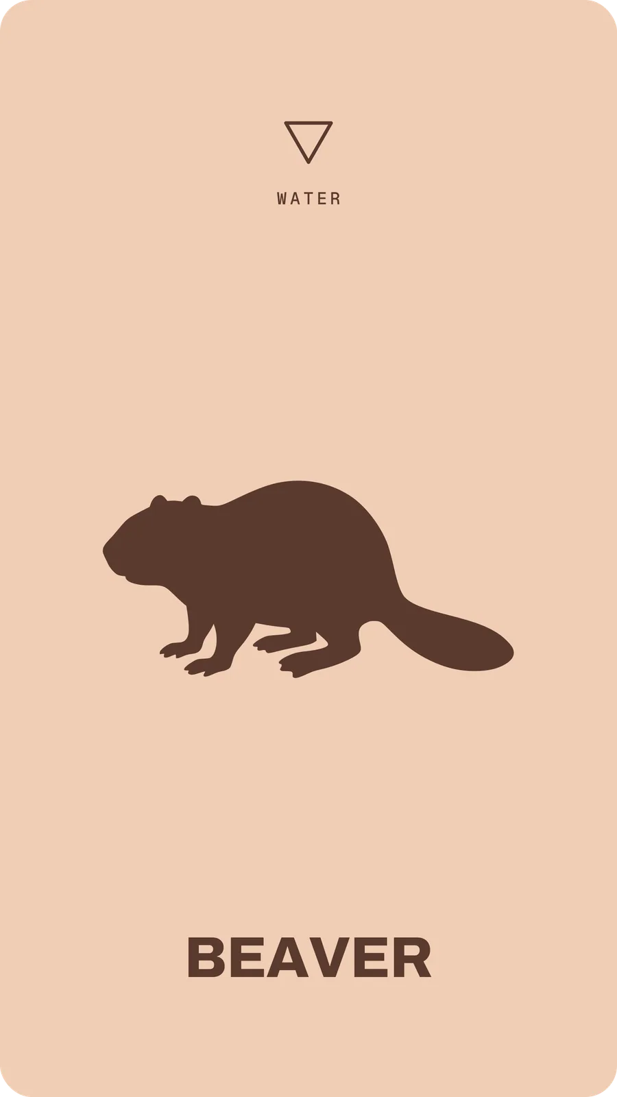 Beaver