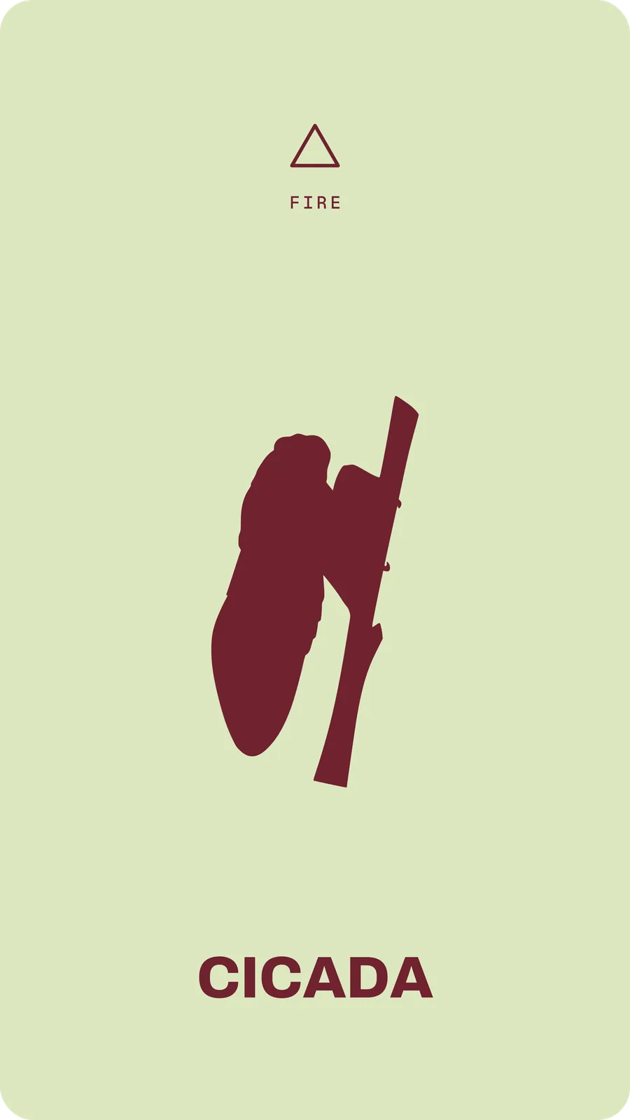 Cicada