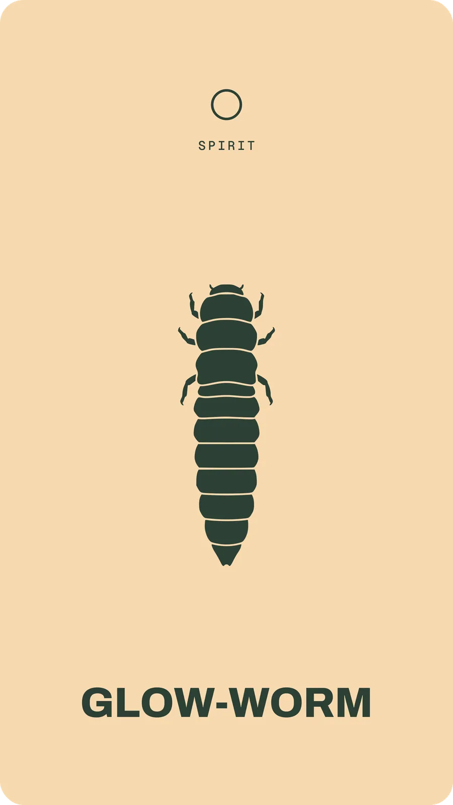 Glow-worm