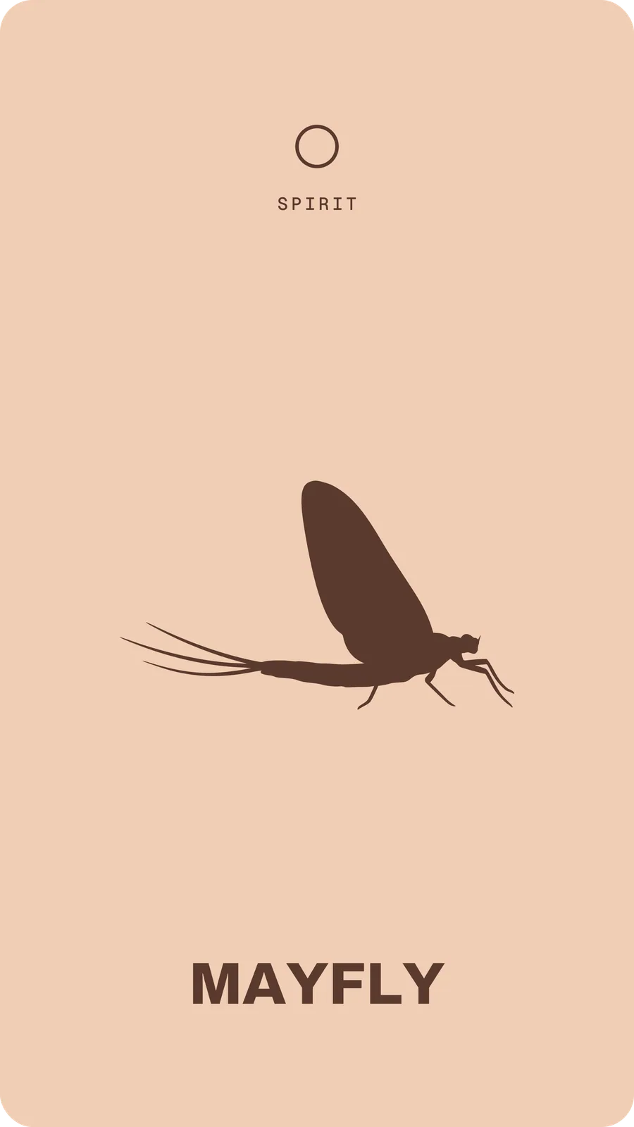 Mayfly