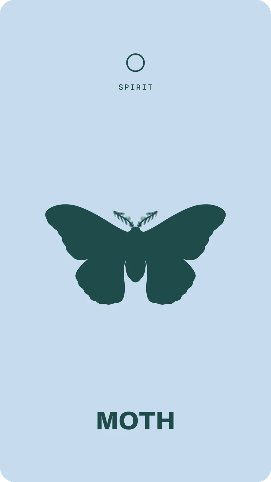 Moth