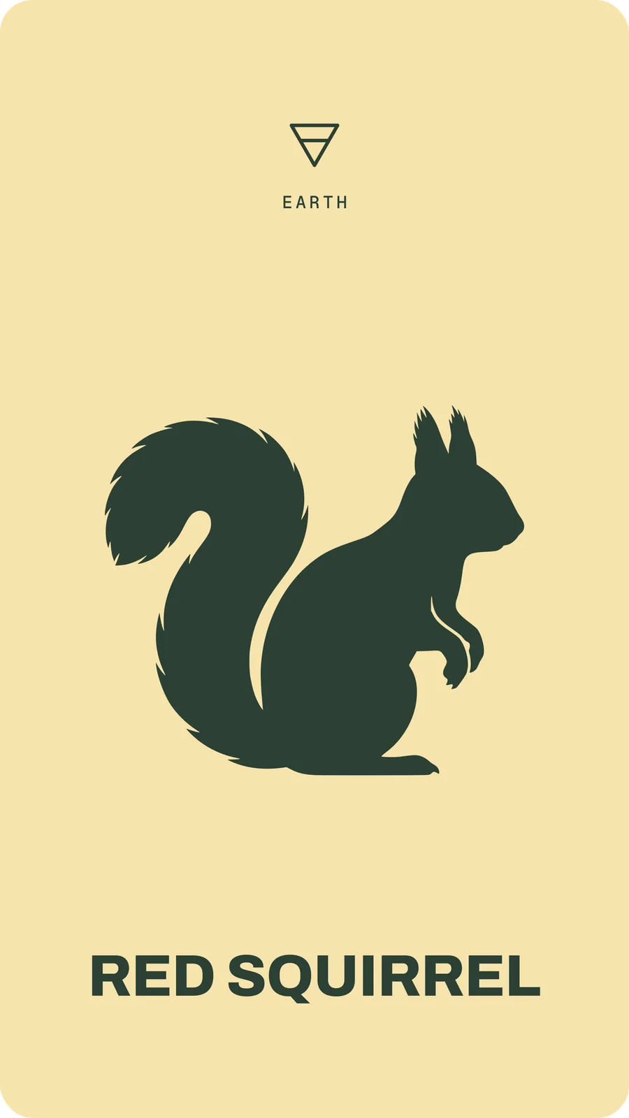 Red Squirrel
