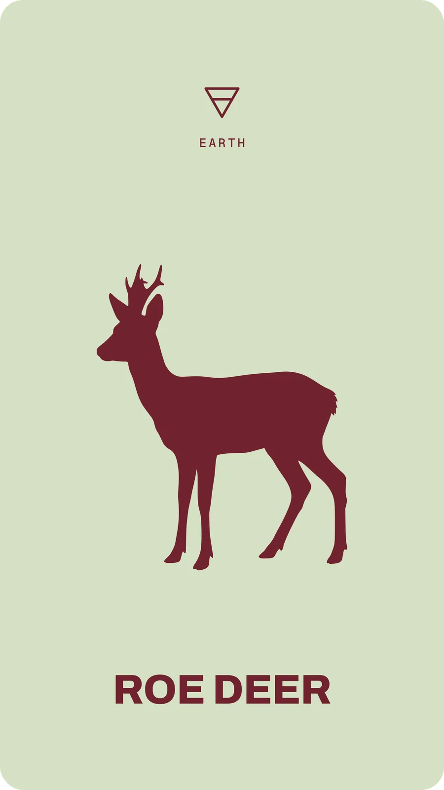 Roe Deer