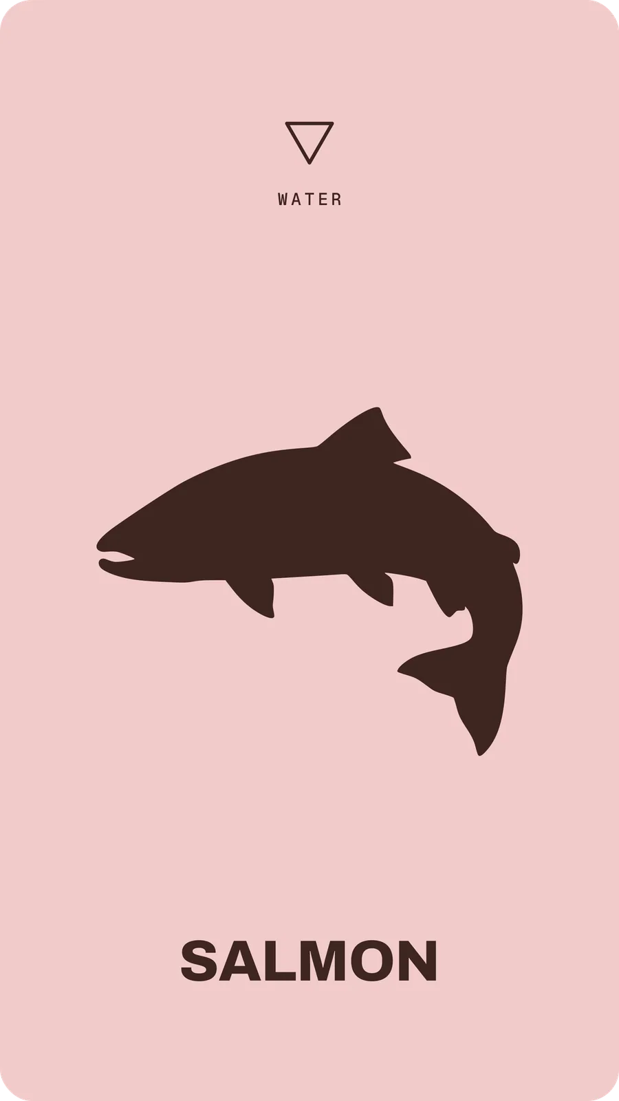 Salmon