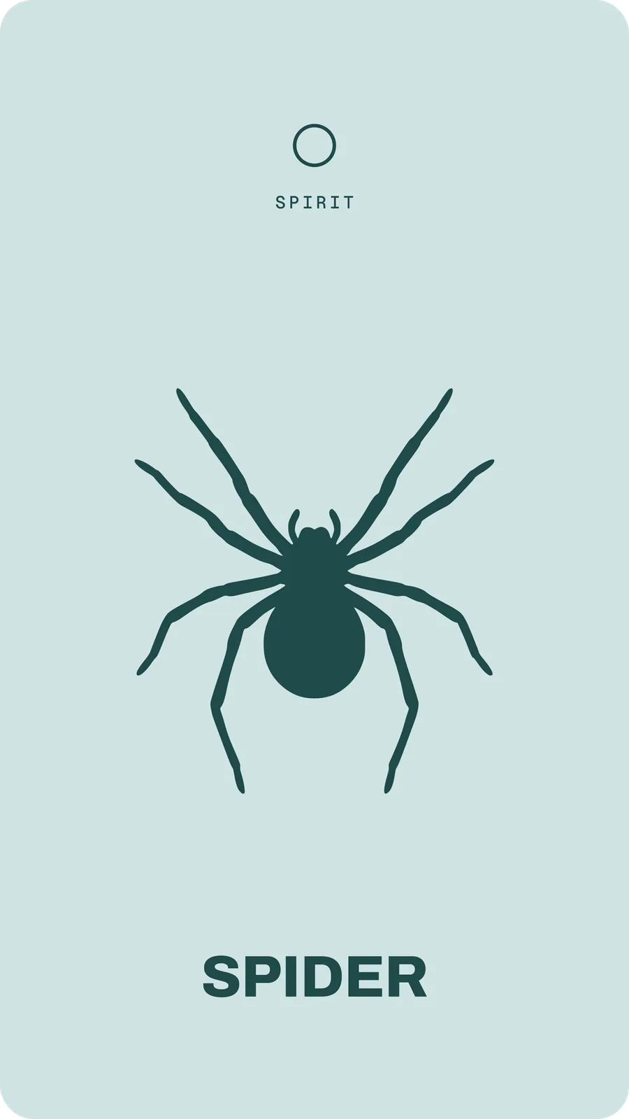 Spider