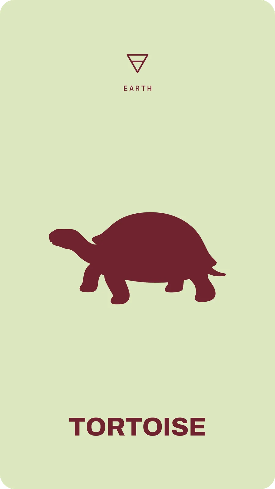 Tortoise