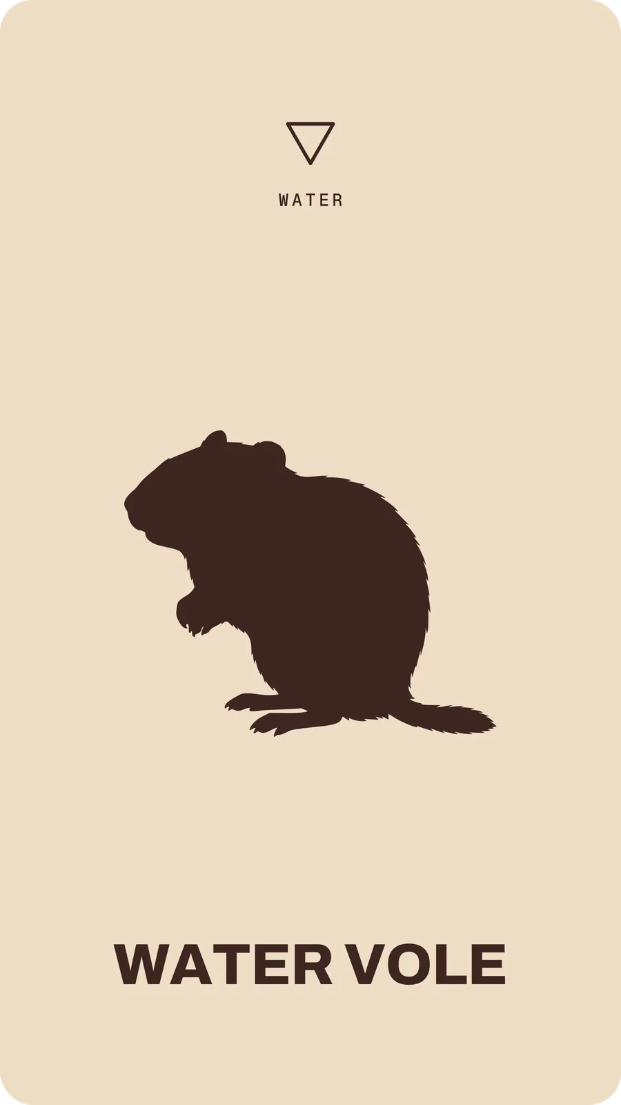 Water Vole