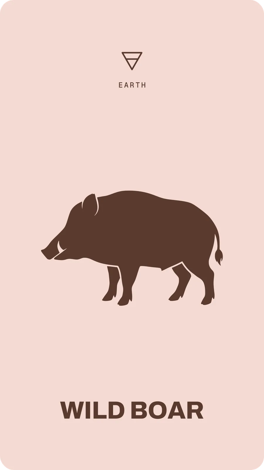 Wild Boar