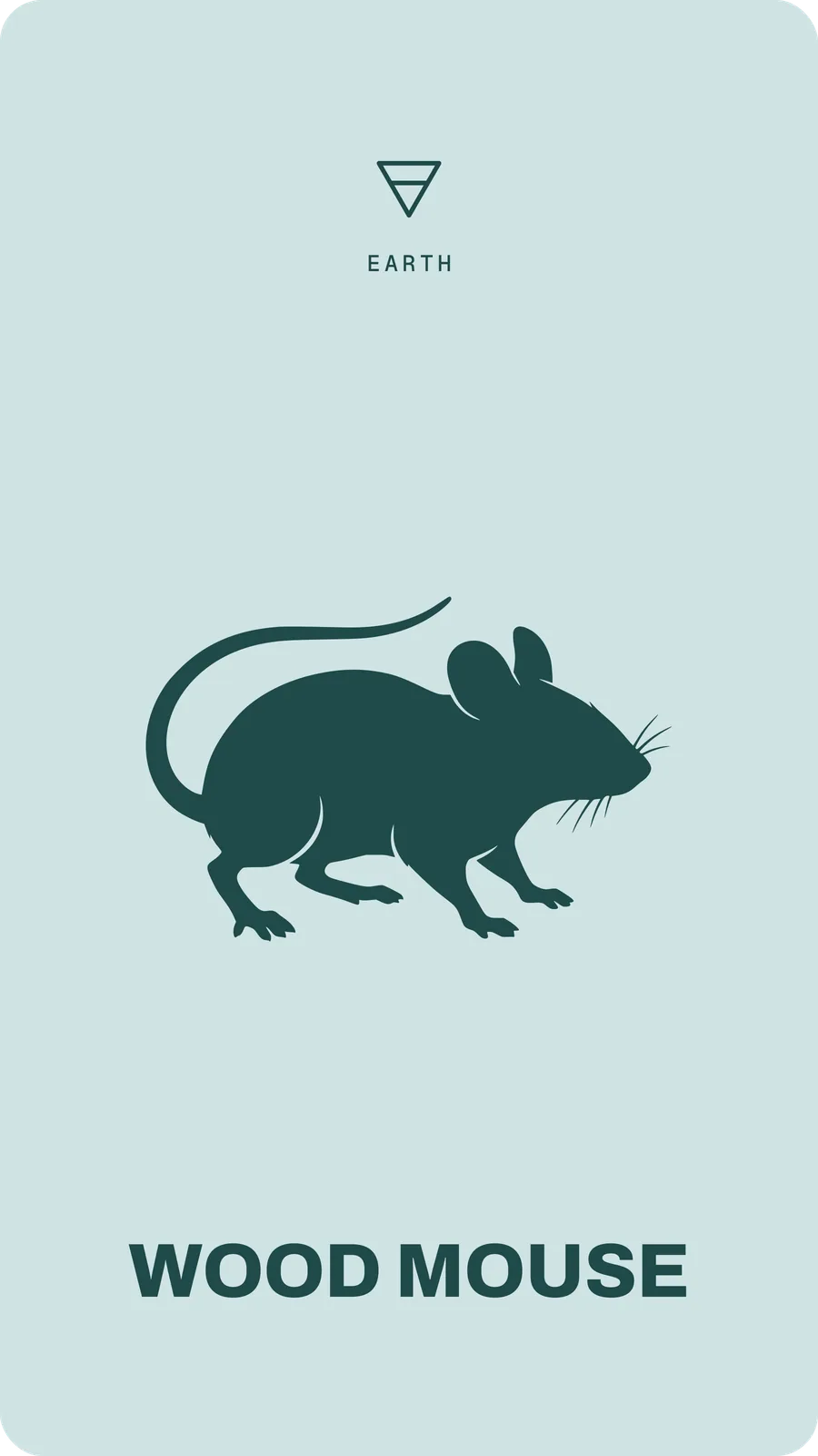 Wood Mouse
